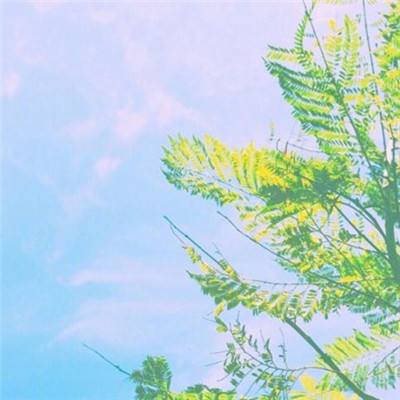 一分三快appapp下载