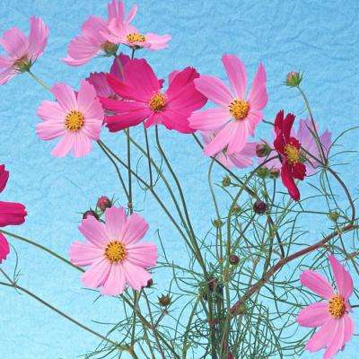 im电竞官方网站下载手机版